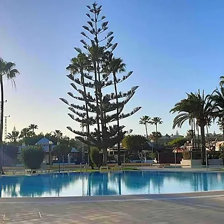 The Paradise